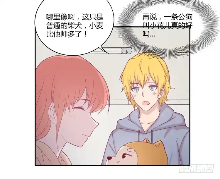 《我与秋田》风雨无阻的恋爱 第30页