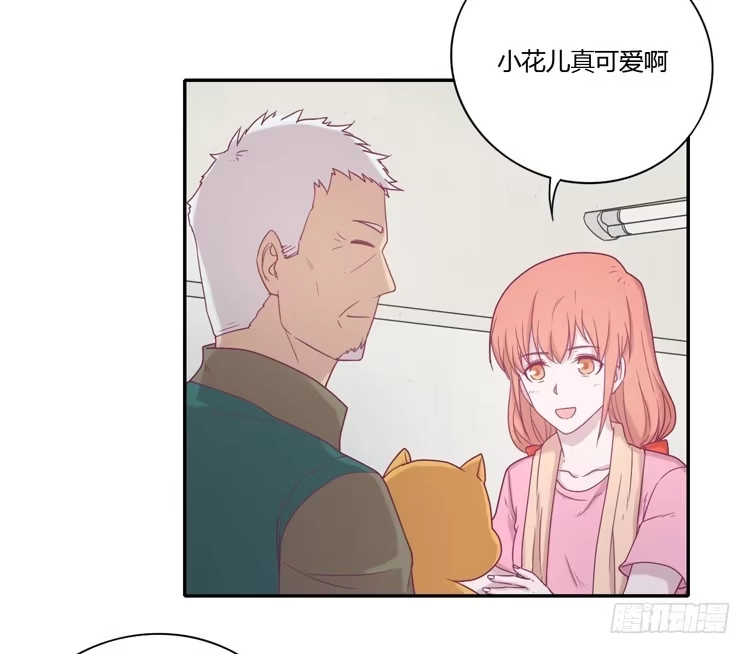 《我与秋田》风雨无阻的恋爱 第28页