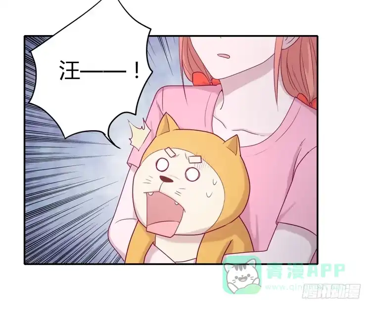 《我与秋田》麦！许愿吧！ 第46页