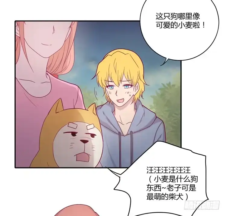 《我与秋田》麦！许愿吧！ 第17页