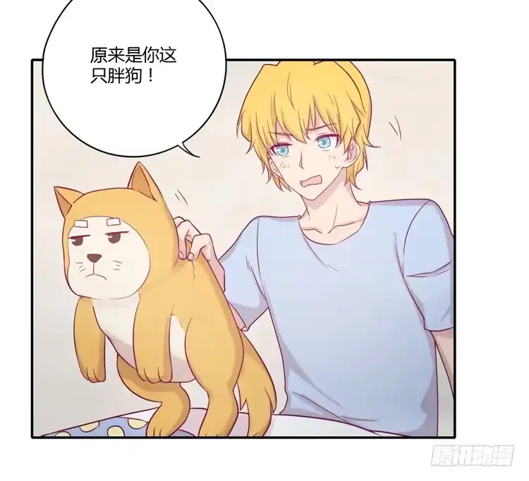 《我与秋田》麦！许愿吧！ 第8页
