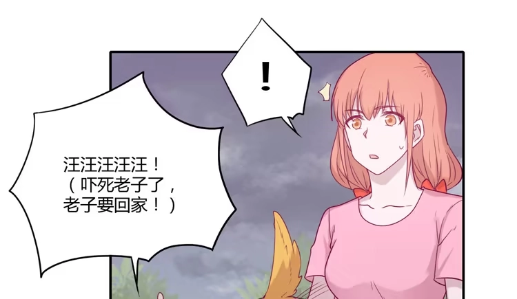 《我与秋田》麦！许愿吧！ 第47页