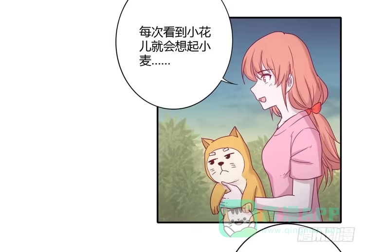 《我与秋田》麦！许愿吧！ 第16页