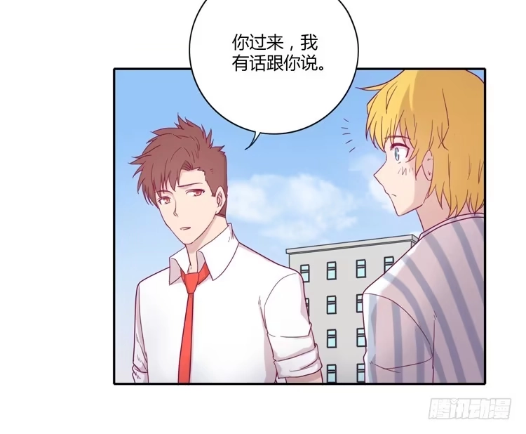 《我与秋田》与辰风冰释前嫌 第10页