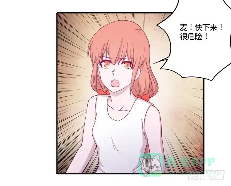 《我与秋田》我要留在麦的身边 第41页