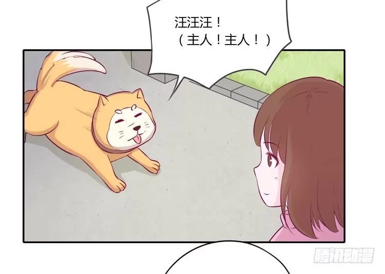 《我与秋田》拉近距离大作战 第19页