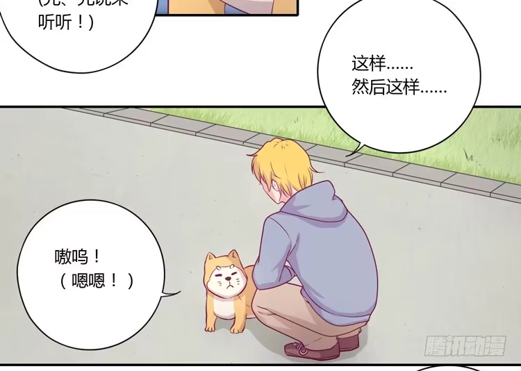 《我与秋田》拉近距离大作战 第38页