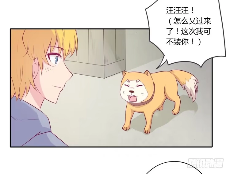 《我与秋田》拉近距离大作战 第14页
