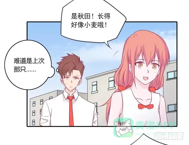 《我与秋田》拉近距离大作战 第16页