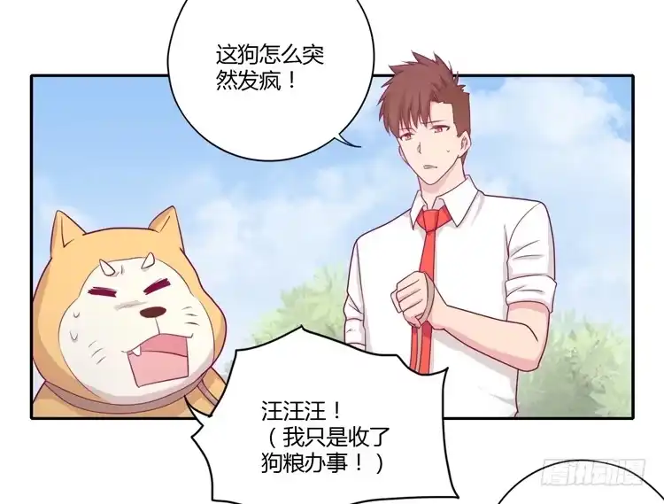 《我与秋田》你们两个大笨蛋 第2页