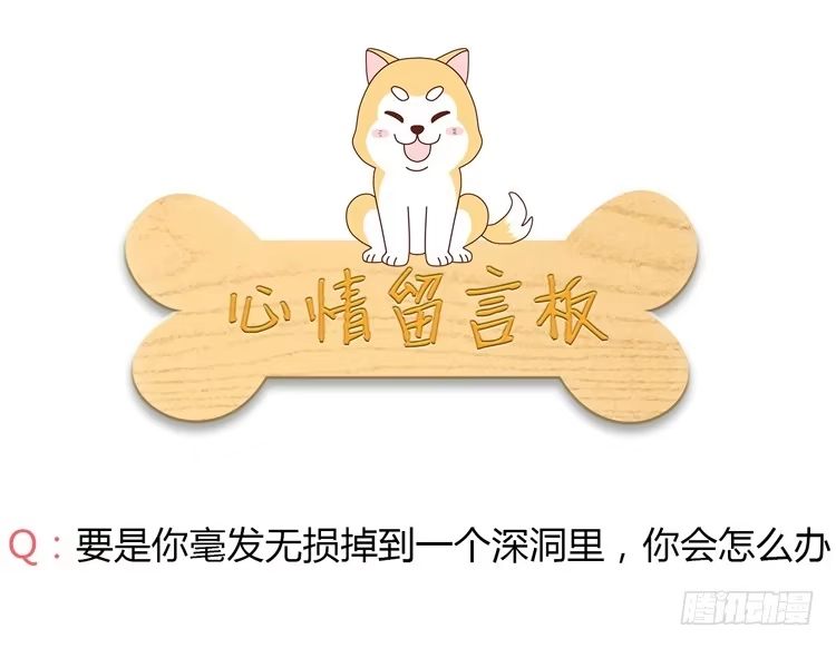 《我与秋田》你们两个大笨蛋 第63页