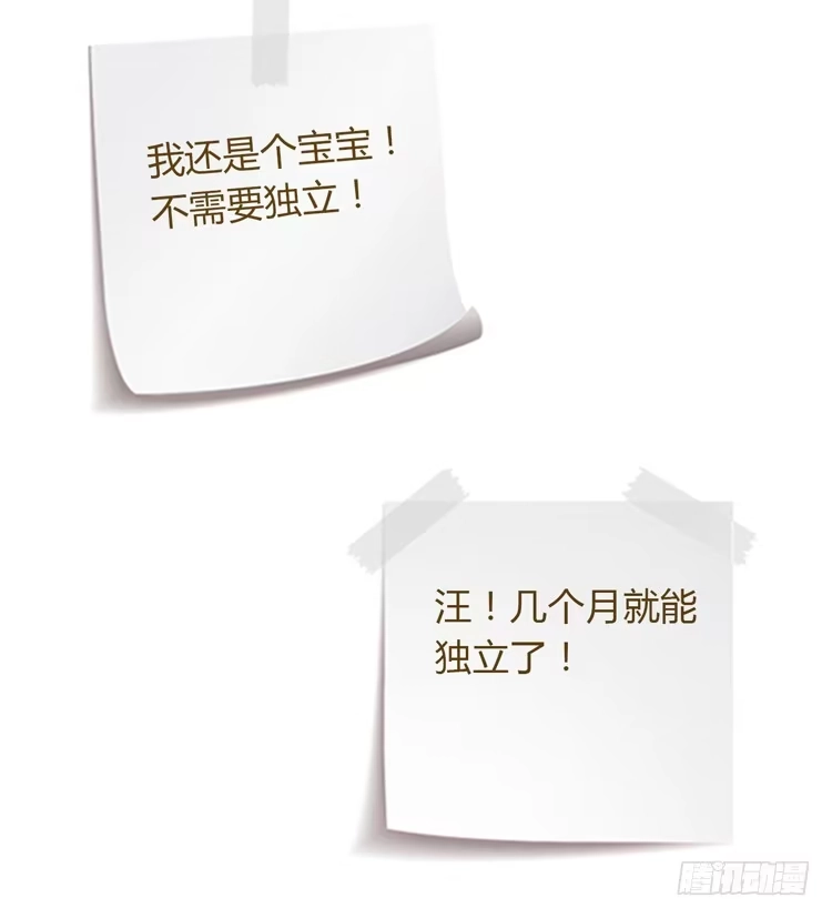 《我与秋田》辰风的选择 第60页