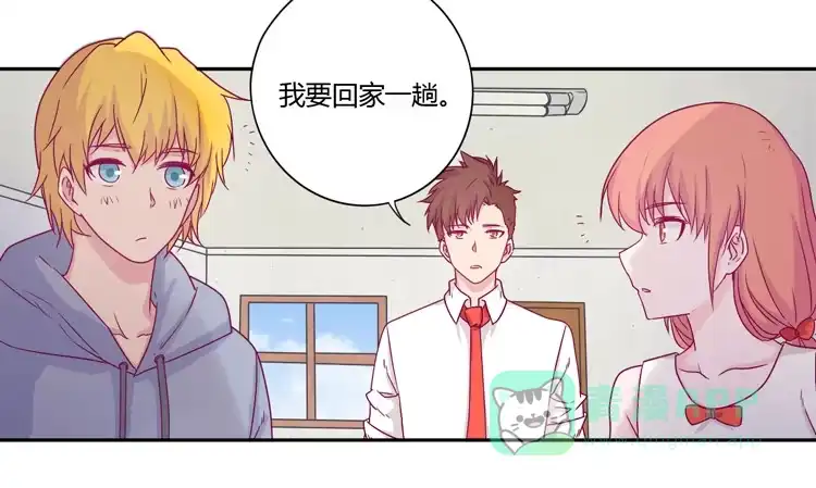 《我与秋田》辰风的选择 第1页