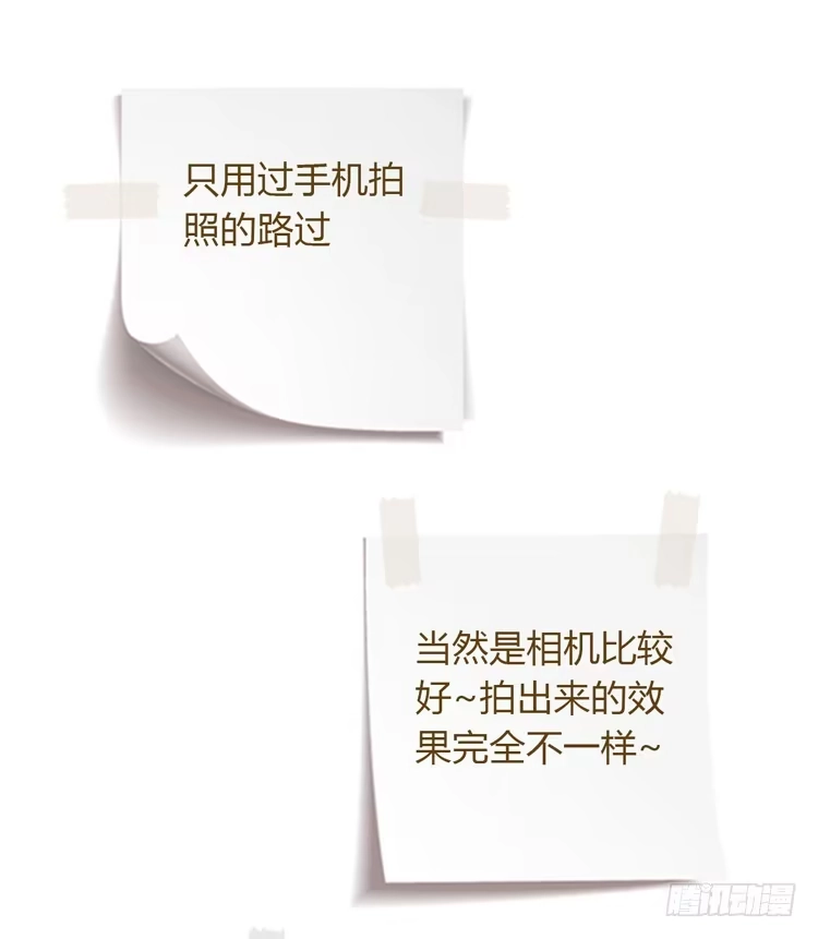 《我与秋田》记录在一起的时光 第57页