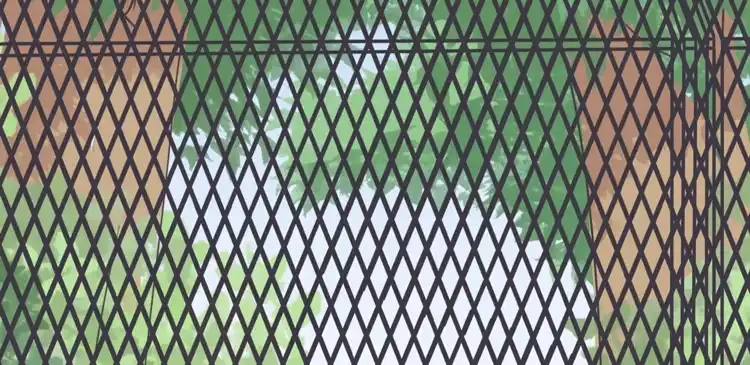 《我与秋田》辰风留下来了！？ 第67页