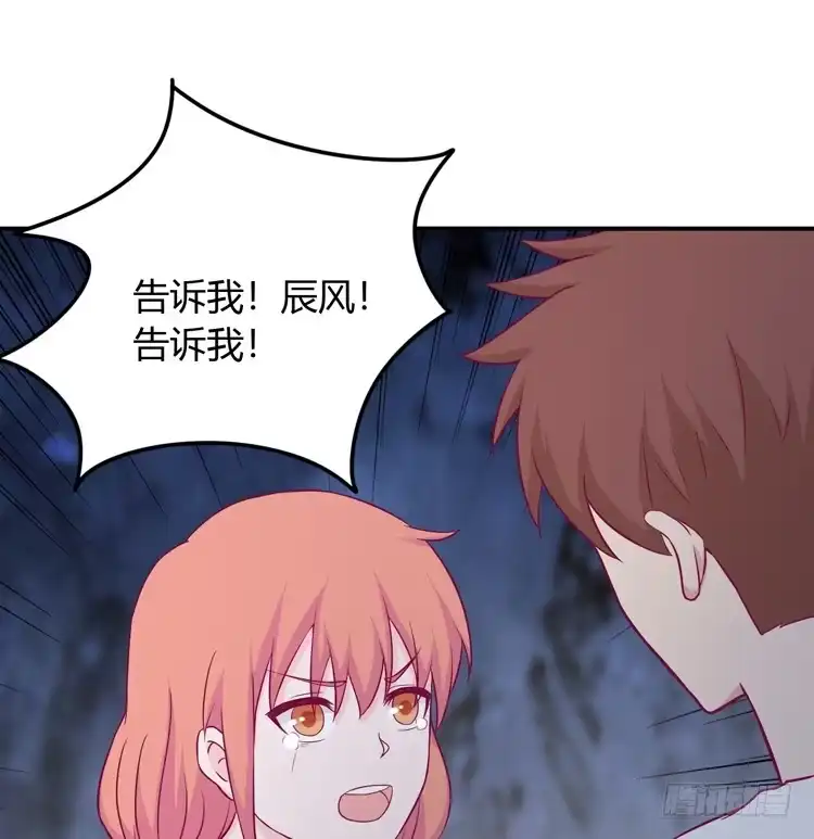 《我与秋田》如果不是人呢 第39页