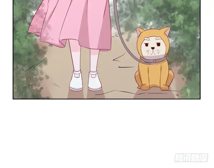 《我与秋田》我有护卫了 第70页