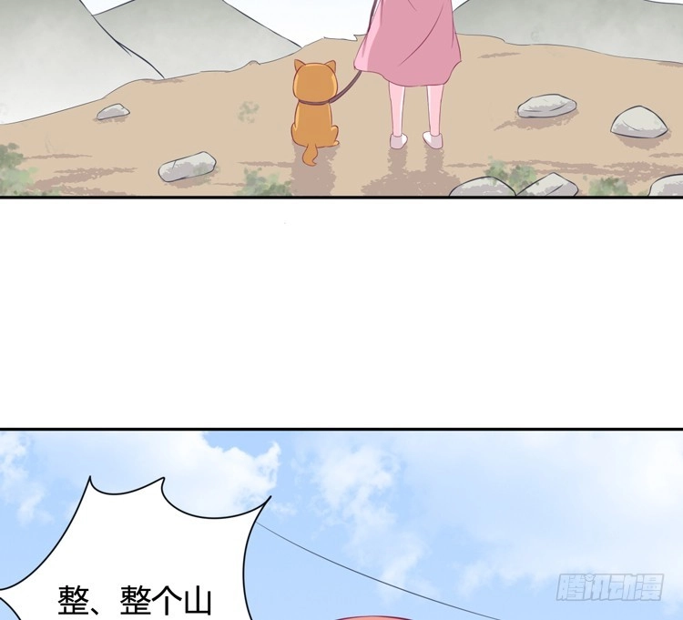 《我与秋田》上山的寻觅 第69页