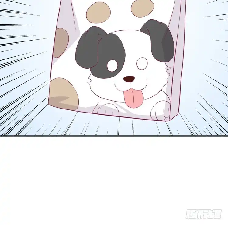 《我与秋田》上山的寻觅 第38页