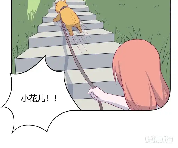 《我与秋田》上山的寻觅 第14页