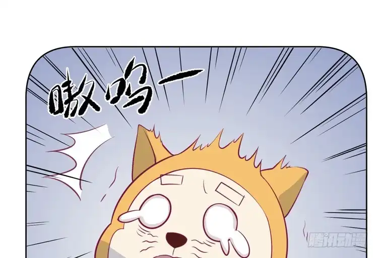 《我与秋田》上山的寻觅 第12页
