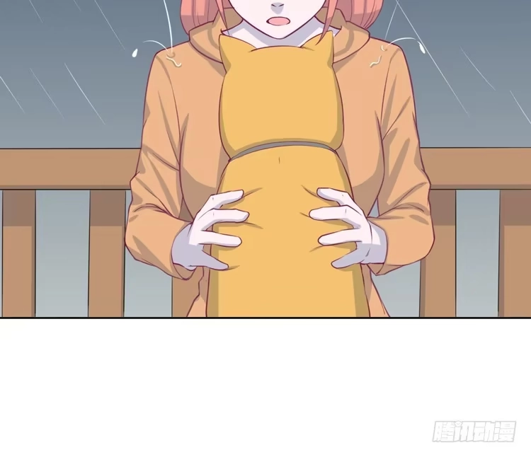 《我与秋田》上山的寻觅 第24页