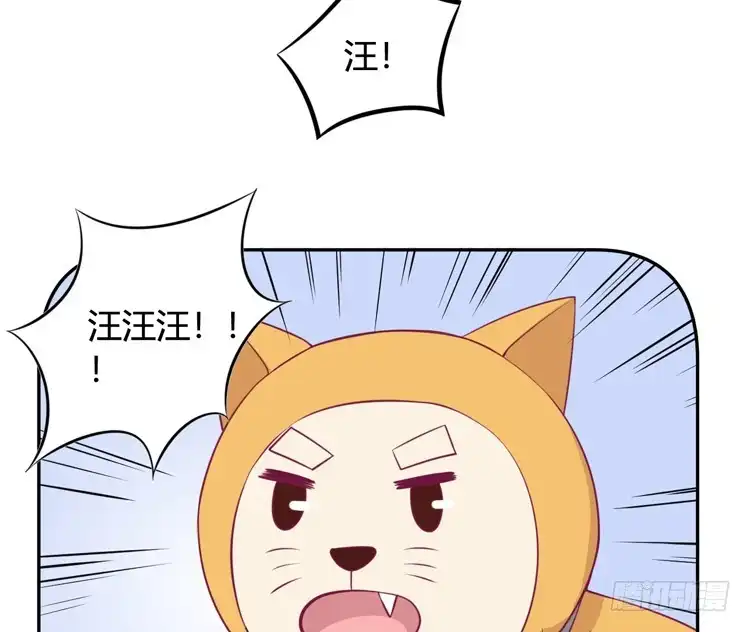 《我与秋田》上山的寻觅 第9页
