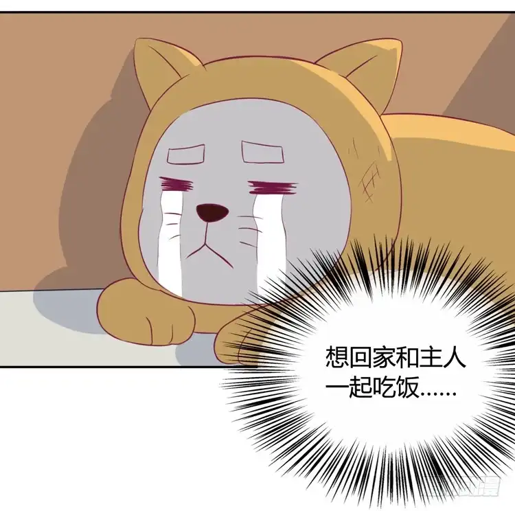 《我与秋田》上山的寻觅 第32页