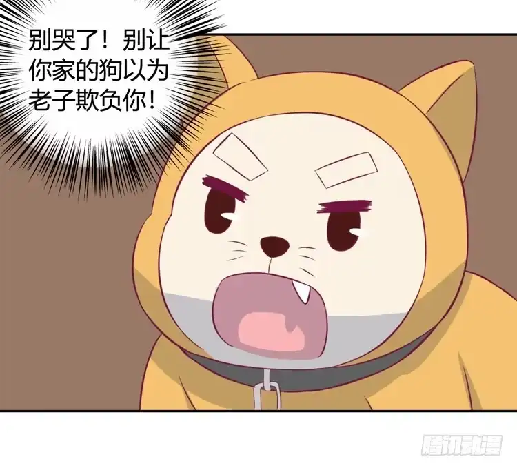 《我与秋田》上山的寻觅 第52页