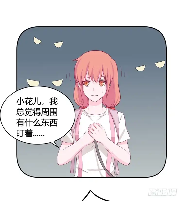 《我与秋田》上山的寻觅 第8页