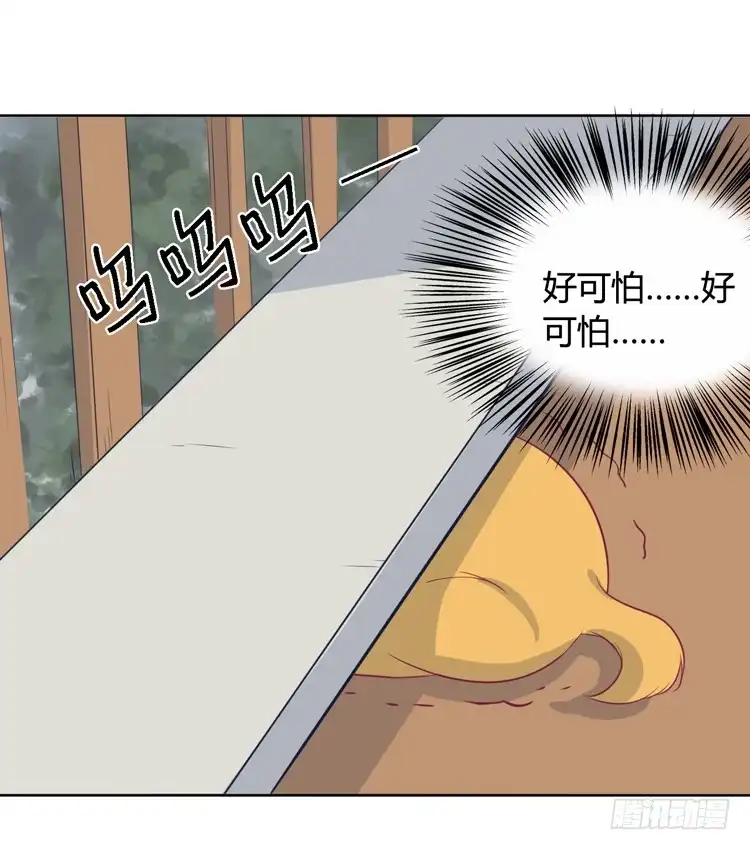 《我与秋田》上山的寻觅 第17页