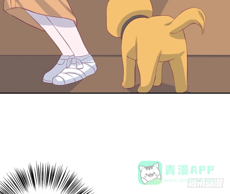 《我与秋田》上山的寻觅 第51页
