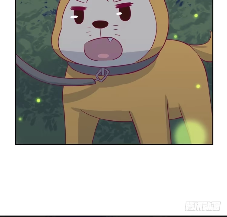 《我与秋田》小园的办法 第15页