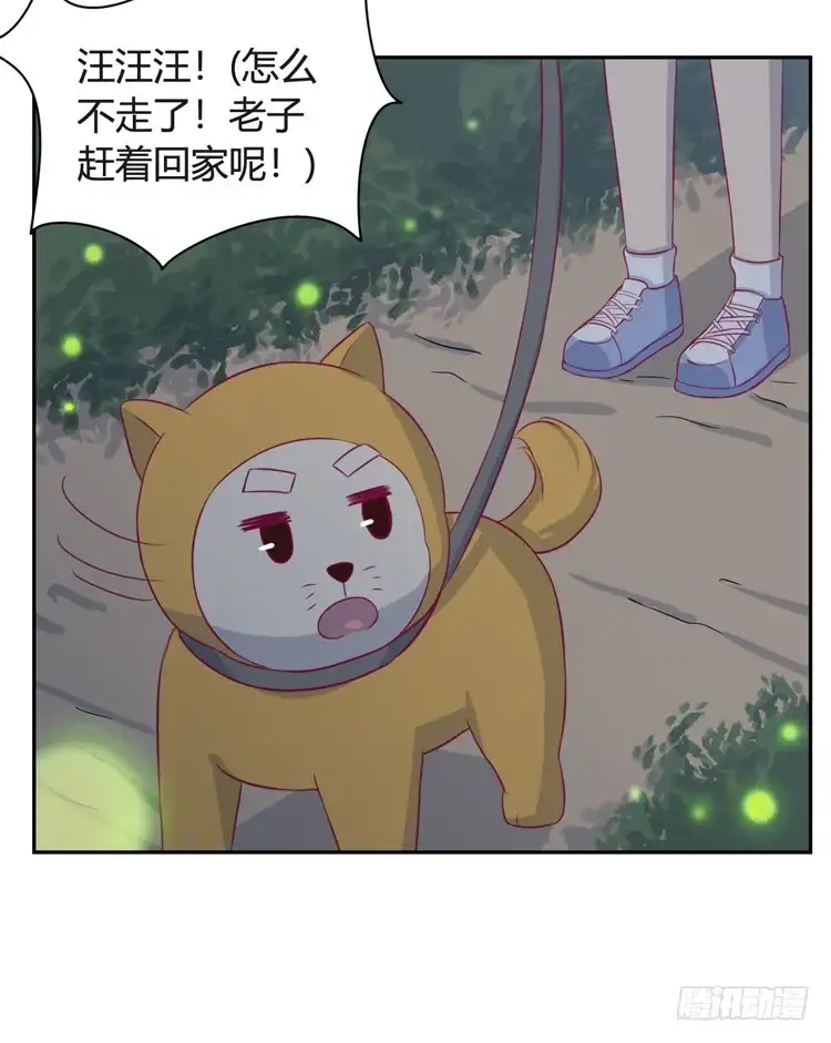 《我与秋田》小园的办法 第24页