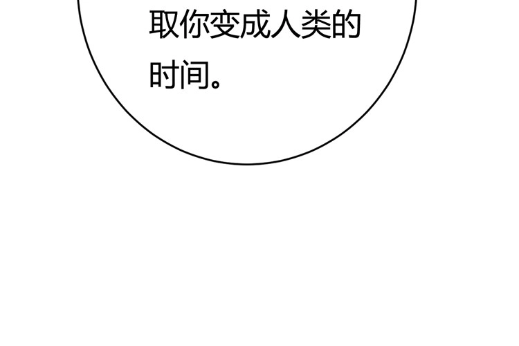 《我与秋田》愿望的代价 第9页