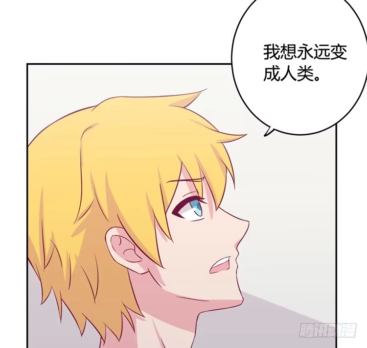 《我与秋田》愿望的代价 第30页