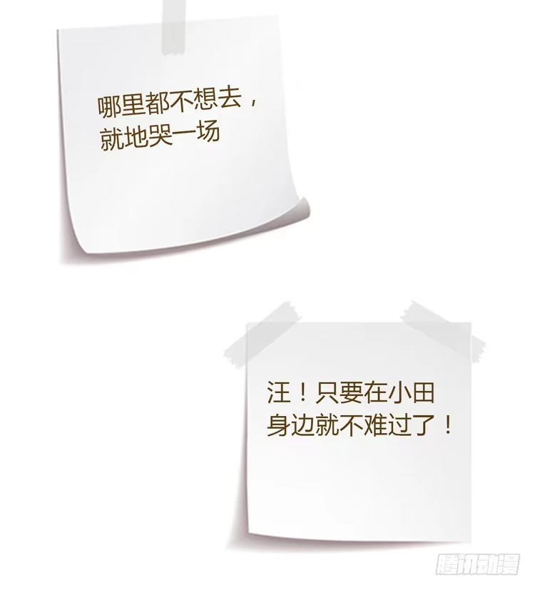 《我与秋田》为什么我抓不住她 第114页