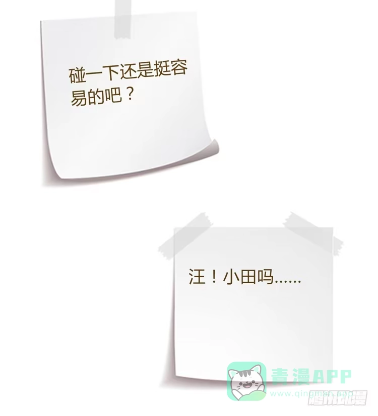 《我与秋田》我喜欢的到底是…… 第91页