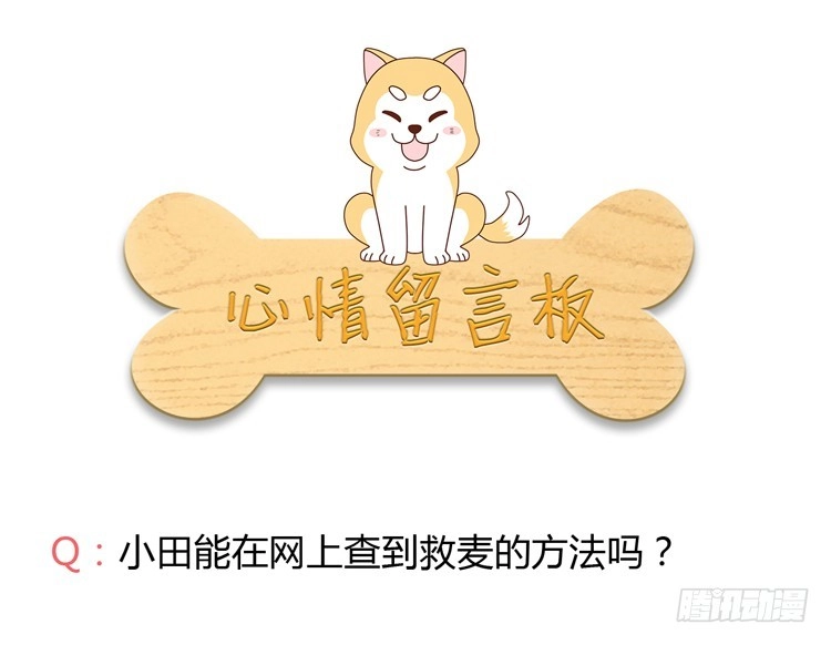 《我与秋田》网上能找到救麦的方法吗？ 第115页