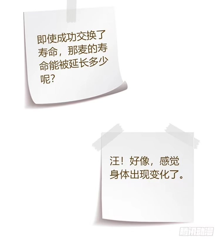 《我与秋田》寿命交换成功啦？ 第122页