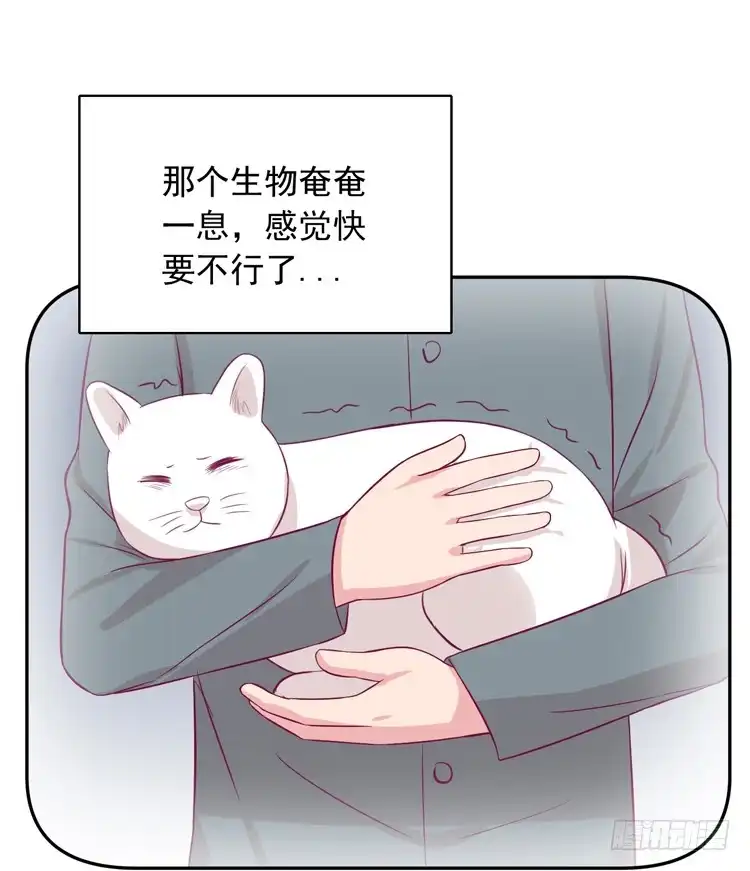 《我与秋田》麦，先把衣服穿上吧。 第74页