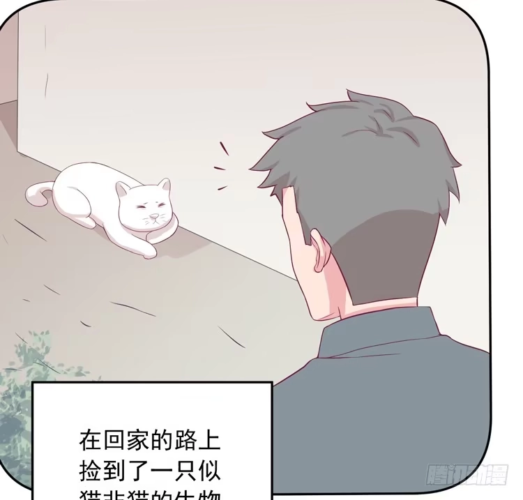 《我与秋田》麦，先把衣服穿上吧。 第72页