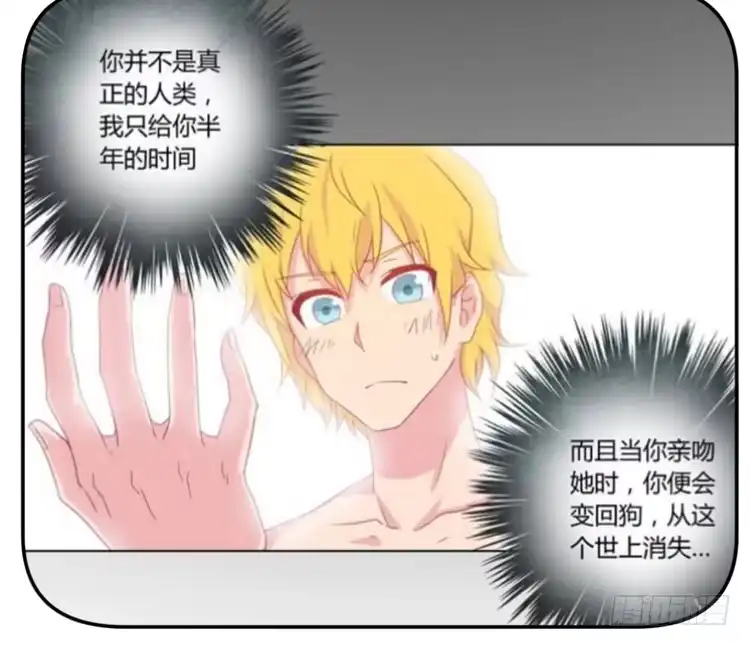 《我与秋田》咦~你们在偷偷商量什么？ 第7页
