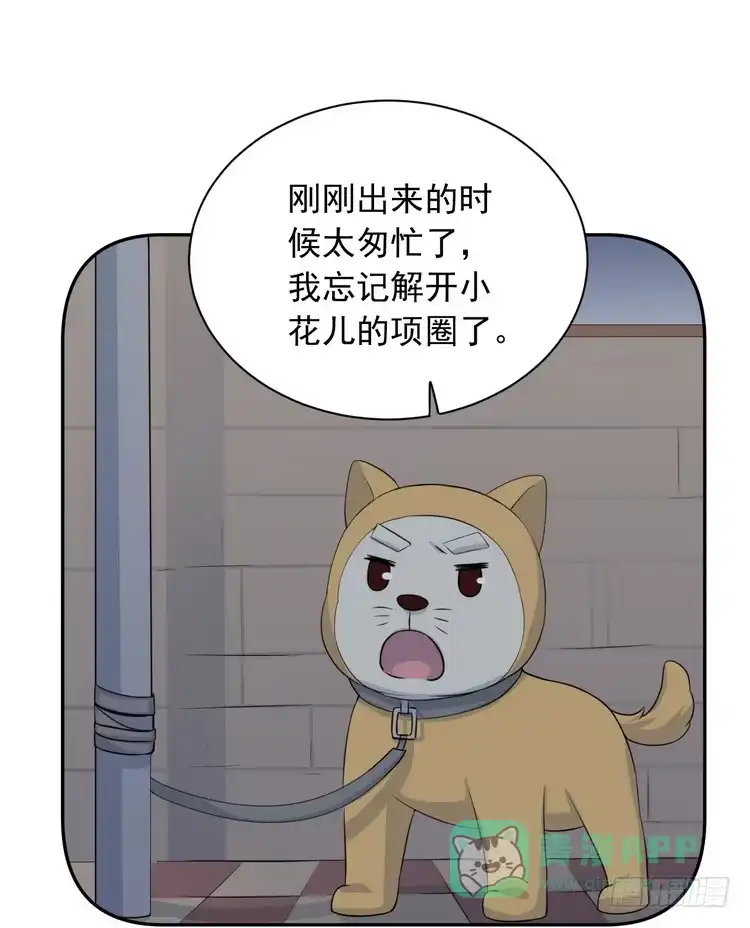 《我与秋田》大结局：永远是你的忠犬男友。 第11页