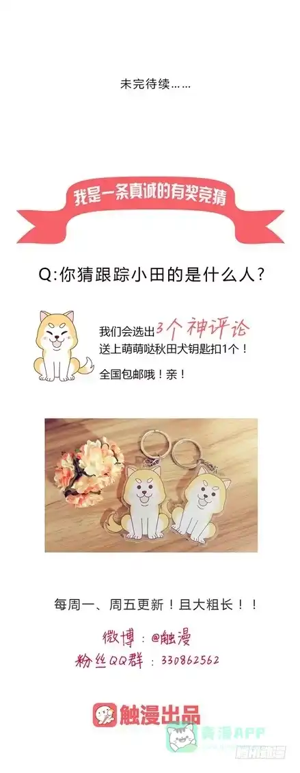 《我与秋田》变态！不要啊！ 第41页