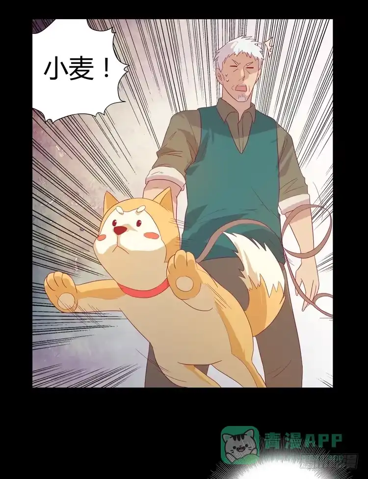 《我与秋田》打回原形 第21页