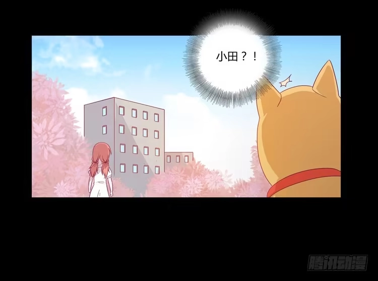 《我与秋田》打回原形 第20页