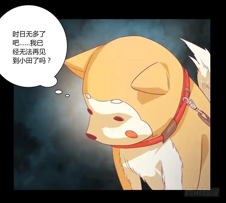 《我与秋田》打回原形 第19页