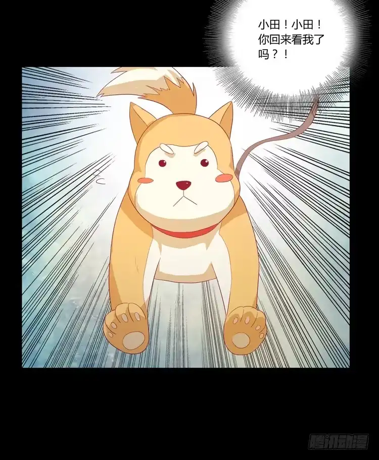 《我与秋田》打回原形 第22页