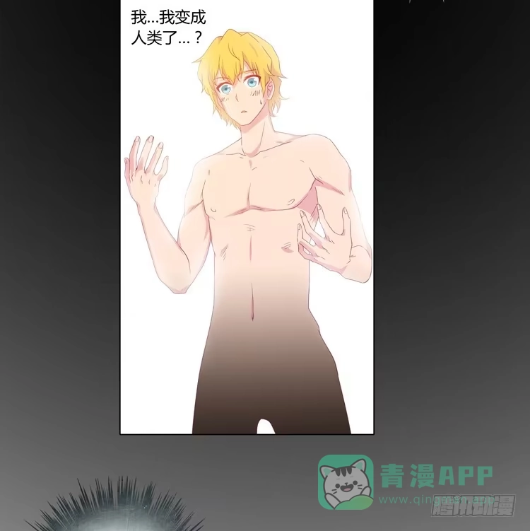 《我与秋田》打回原形 第31页